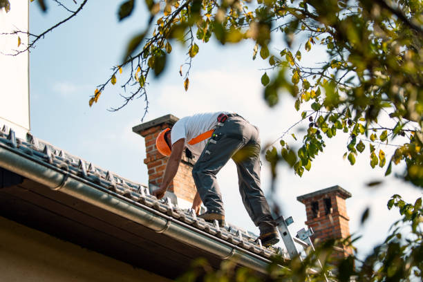 Best Roof Repair Specialists  in Silver Grove, KY
