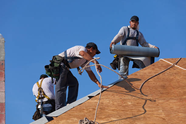 Best Local Roofing Companies  in Silver Grove, KY