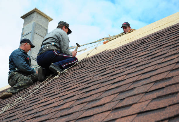Best Metal Roofing Contractor  in Silver Grove, KY