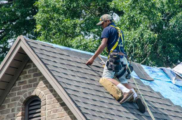 Best Metal Roofing Contractor  in Silver Grove, KY